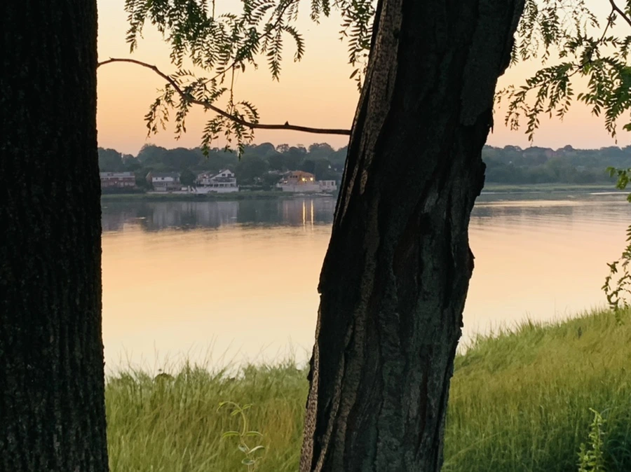 IMG_4360.jpg?type=w966