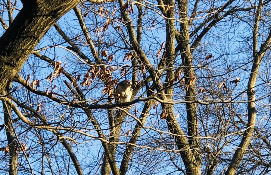 IMG_4843.jpg?type=w966