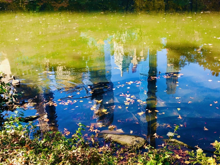 IMG_3781.jpg?type=w966