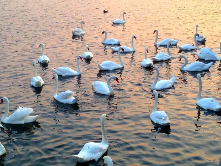 IMG_9807.JPG?type=w1