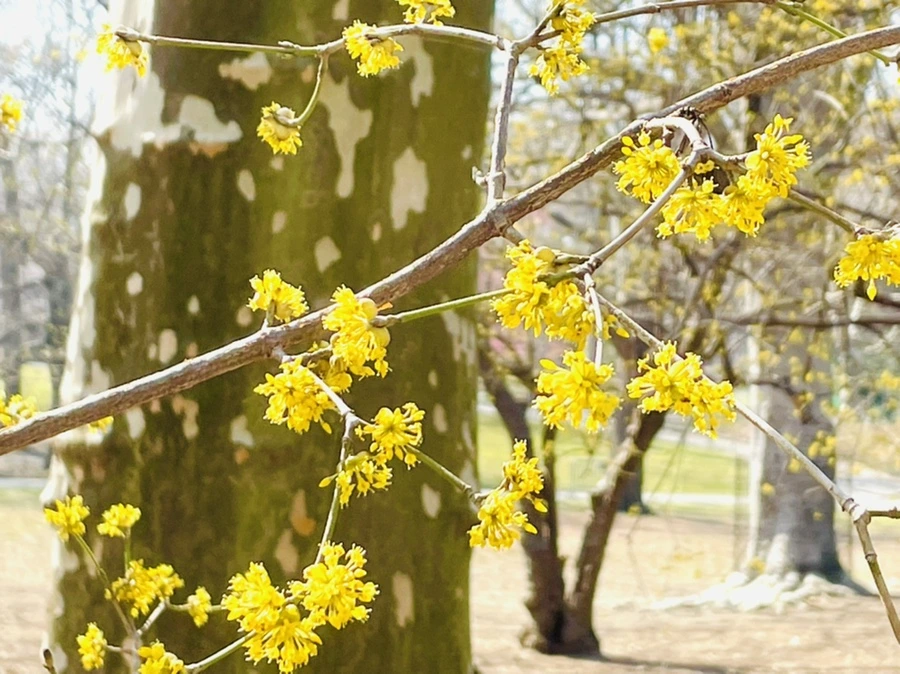 IMG_5557.jpg?type=w966