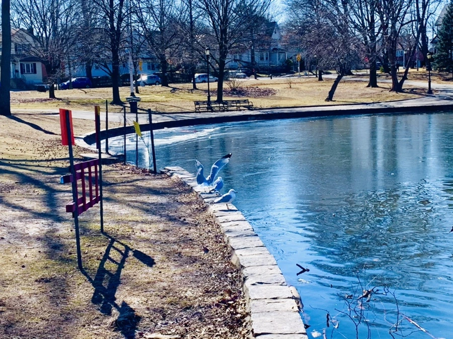 IMG_8896.jpg?type=w966