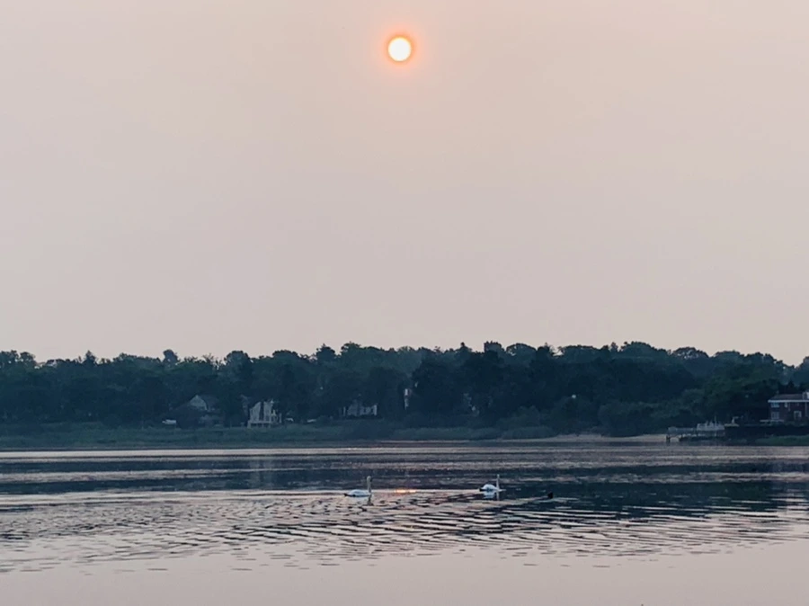 IMG_8421.jpg?type=w966