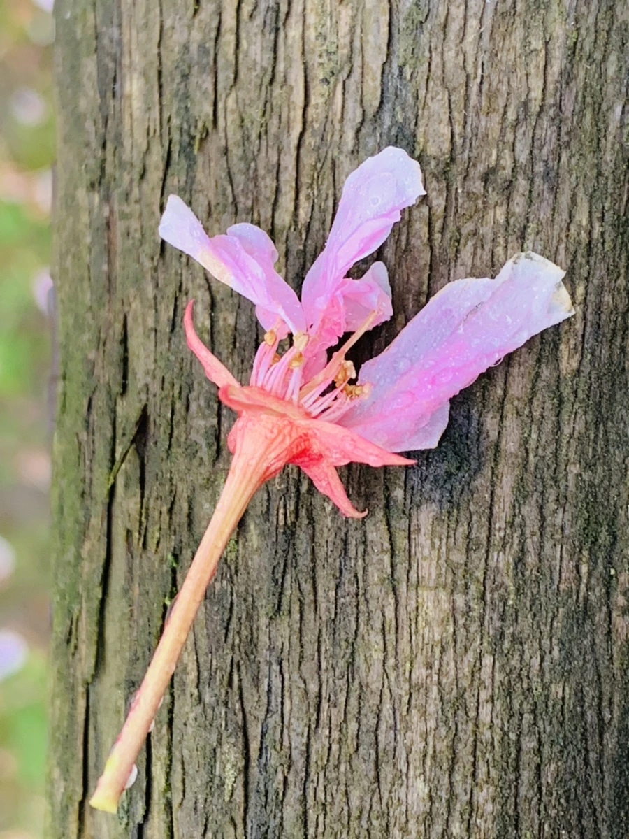 IMG_9451.jpg?type=w966