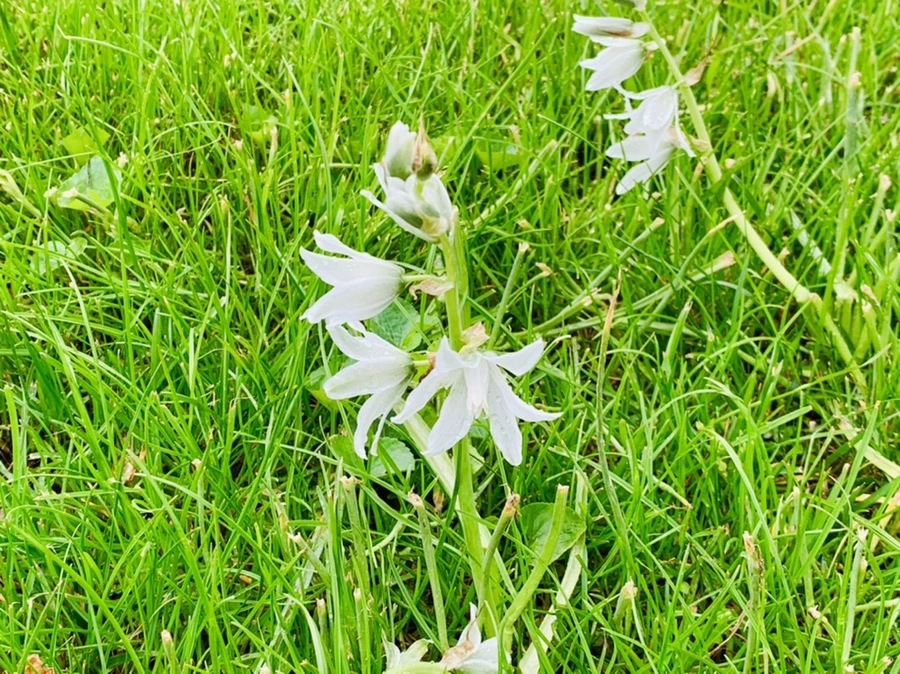 IMG_4040.jpg?type=w966