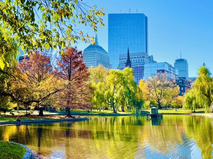 HwDsmidEL07CHizPWBh4XpxEkFA