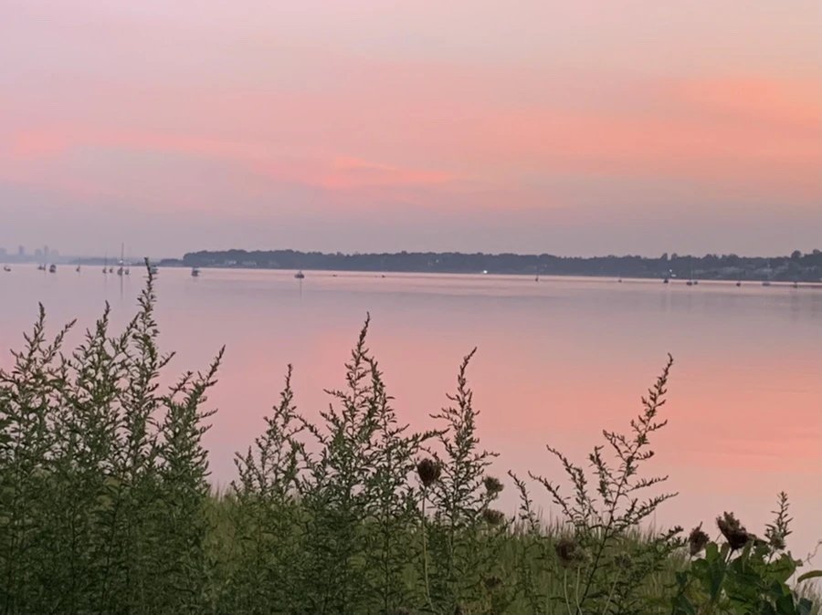 IMG_4339.jpg?type=w966