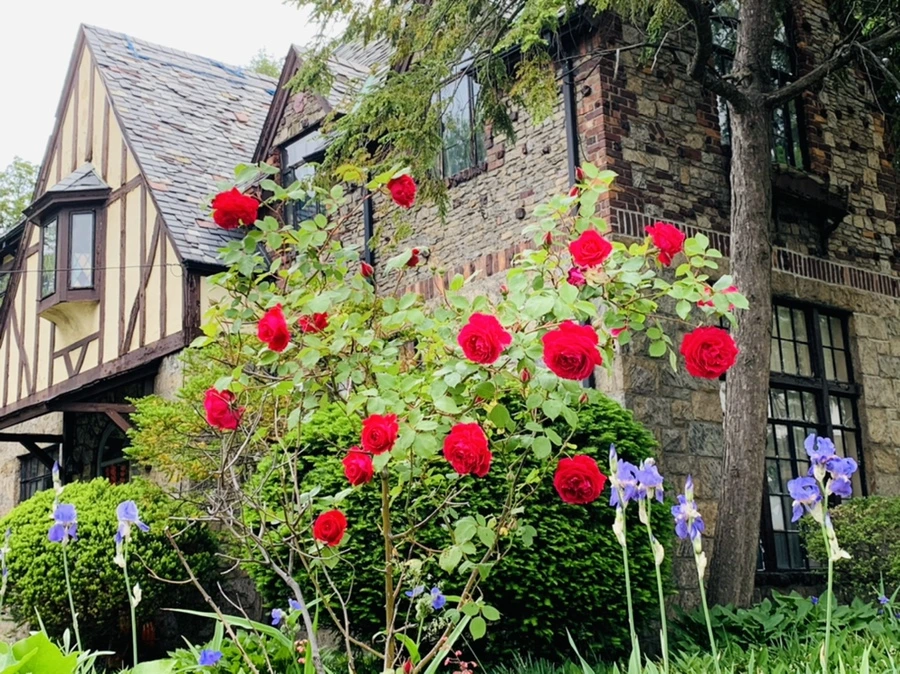 IMG_4807.jpg?type=w966