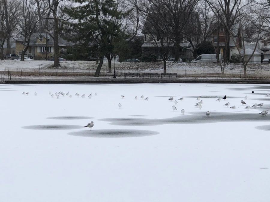 IMG_6176.jpg?type=w966