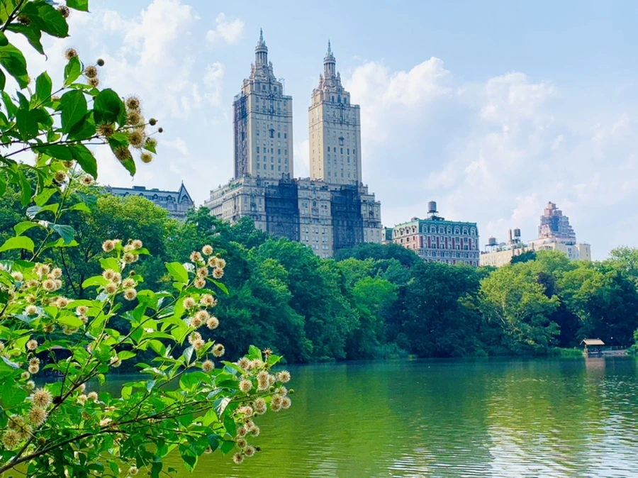 IMG_1709.jpg?type=w966