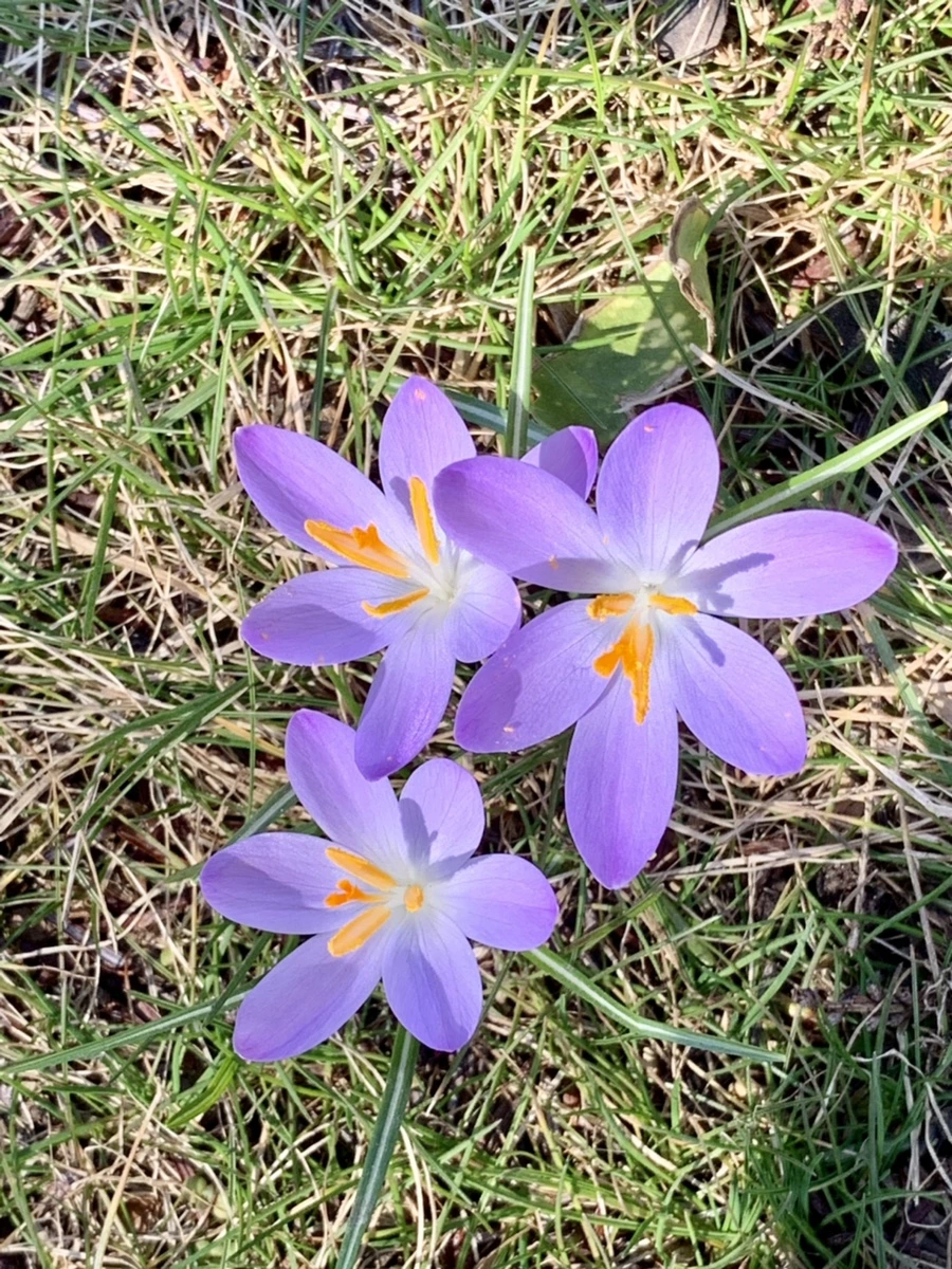 IMG_9230.jpg?type=w966