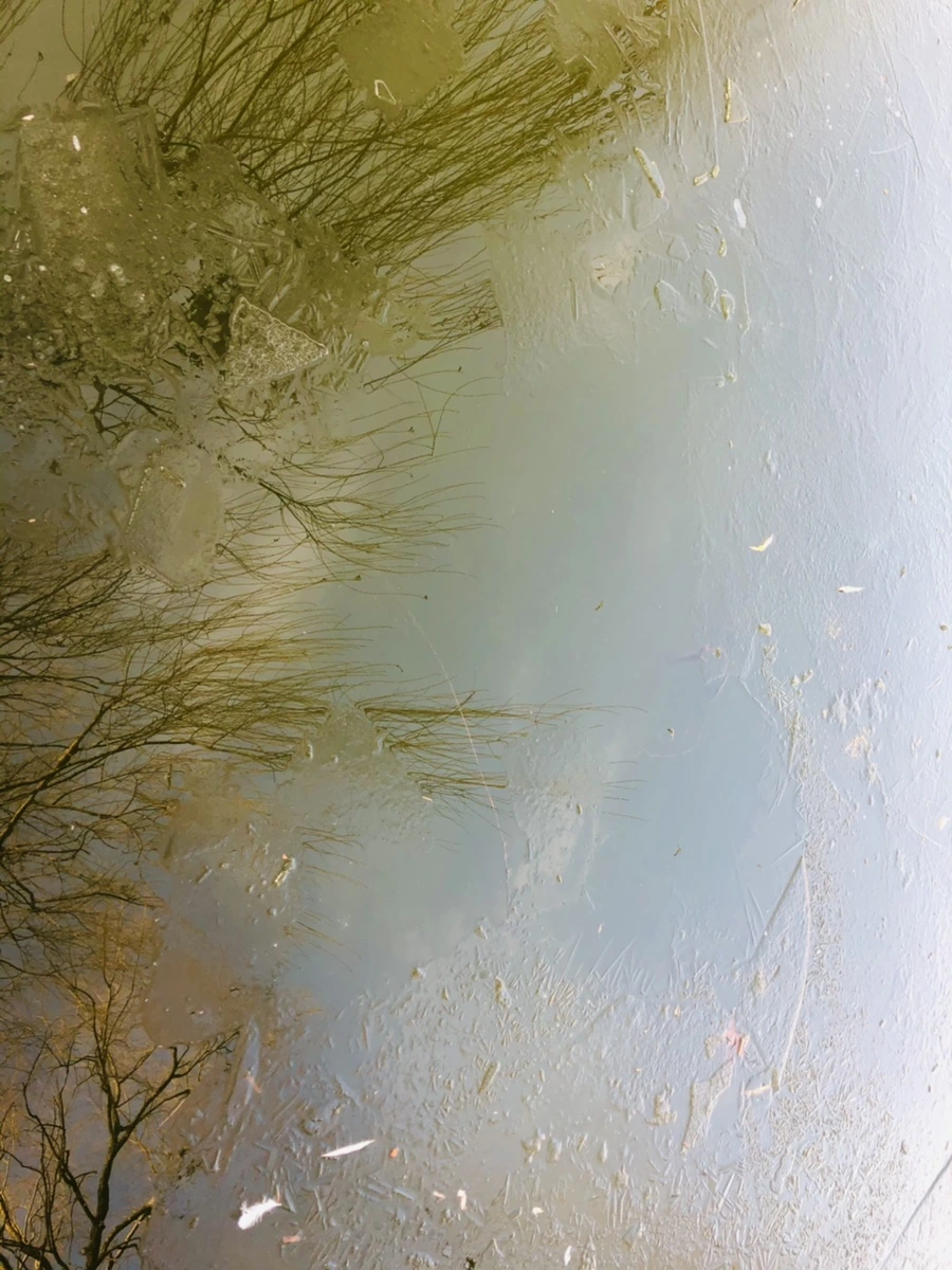 IMG_2547.jpg?type=w966