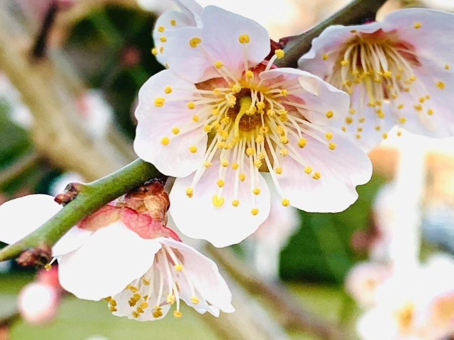 IMG_2336.jpg?type=w966