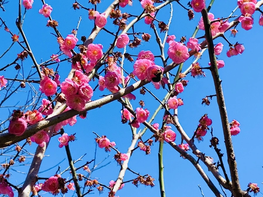 IMG_7812.jpg?type=w966