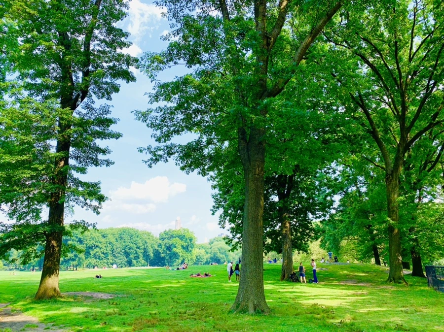 IMG_1682.jpg?type=w966