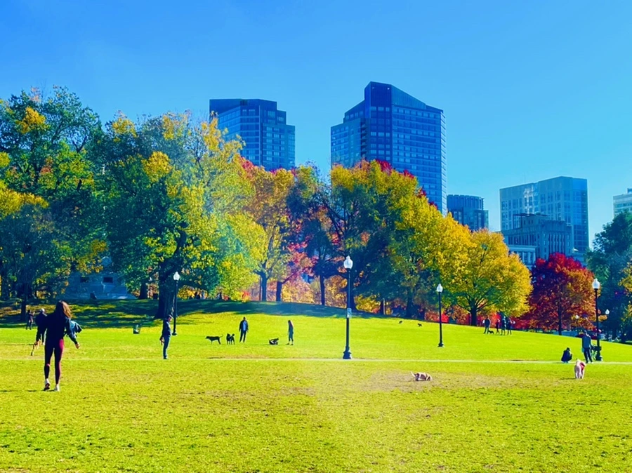 IMG_2525.jpg?type=w966