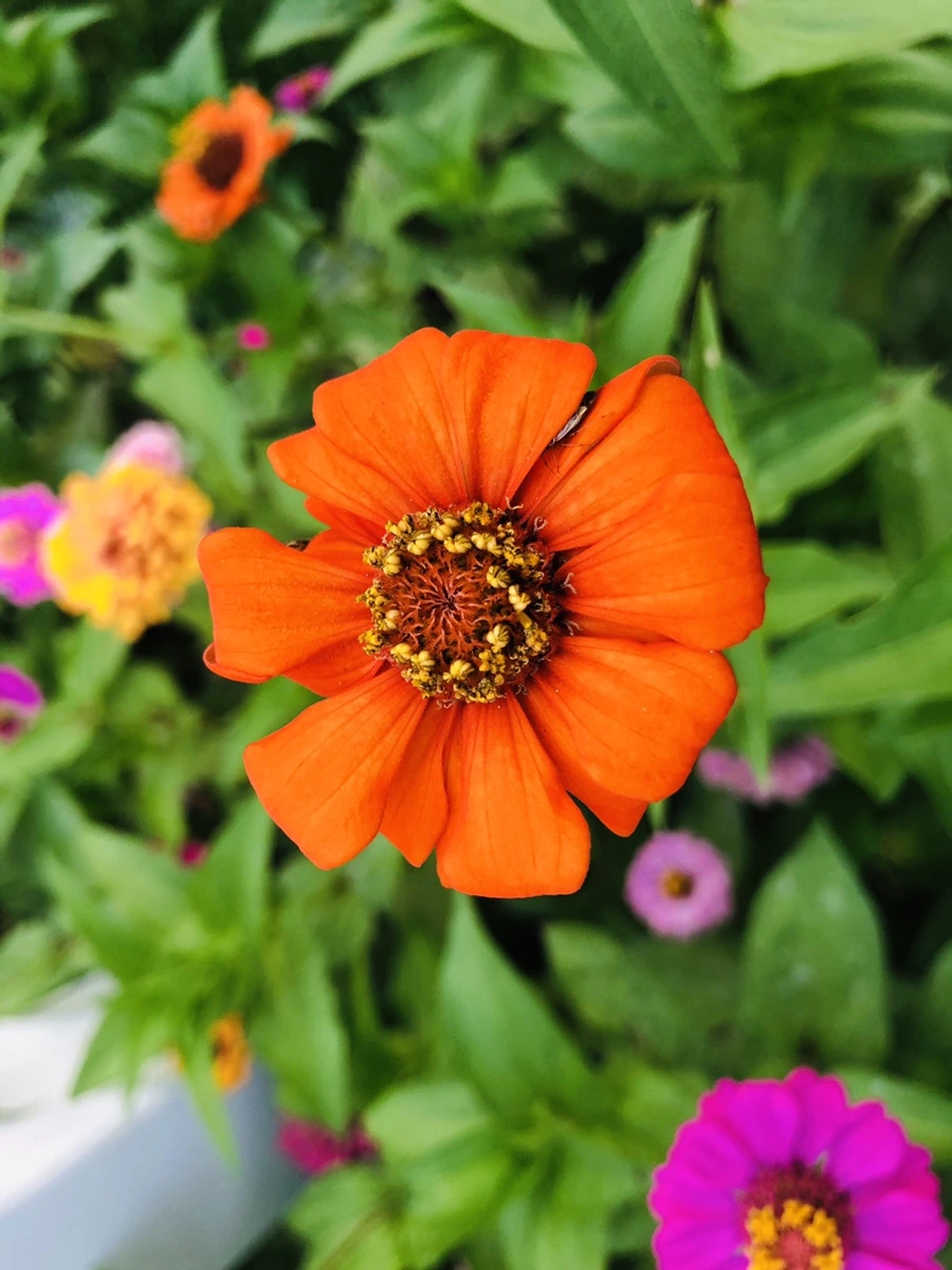 IMG_3641.jpg?type=w966