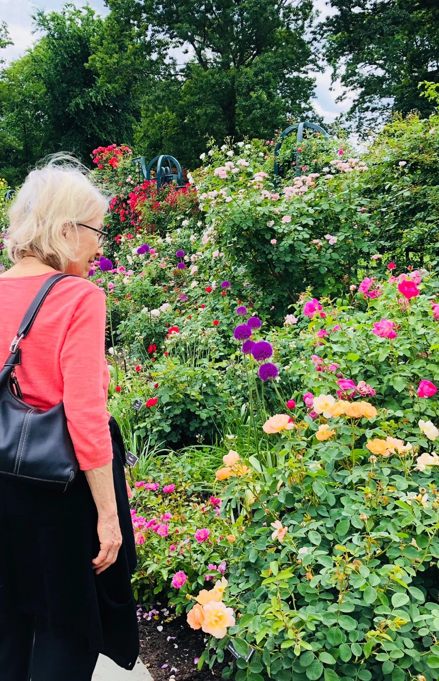 IMG_7224.jpg?type=w966