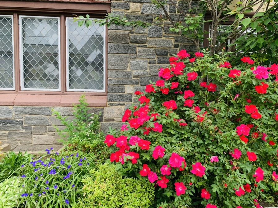 IMG_5304.jpg?type=w966