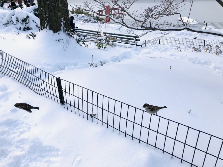 IMG_7022.jpg?type=w966