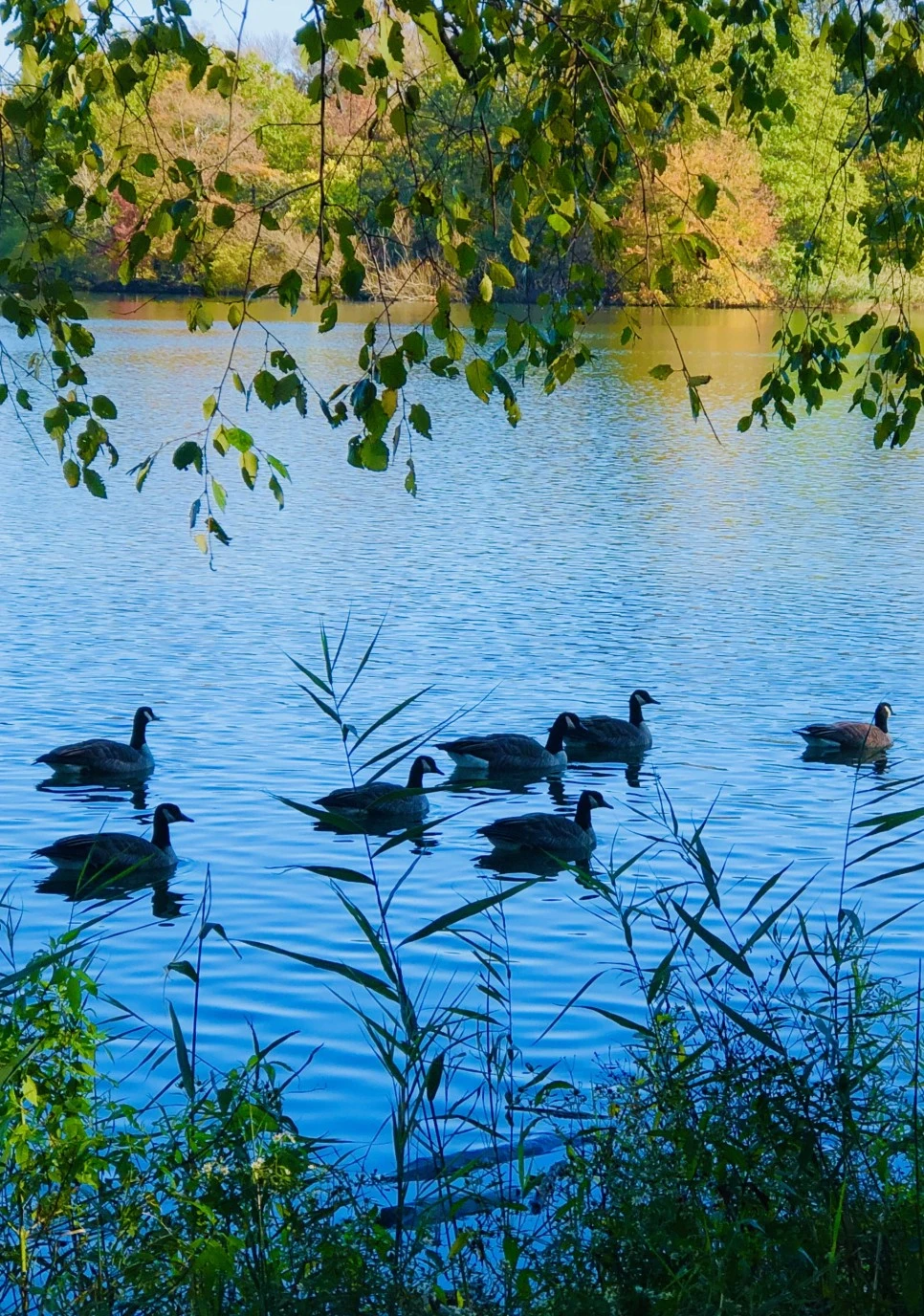 IMG_3228.jpg?type=w966