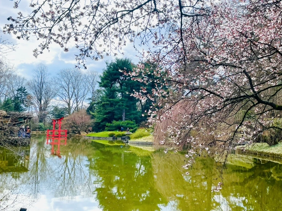 IMG_7491.jpg?type=w966