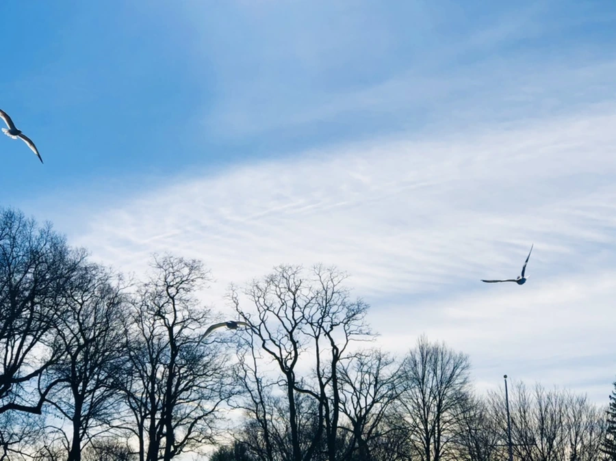 IMG_5416.jpg?type=w966