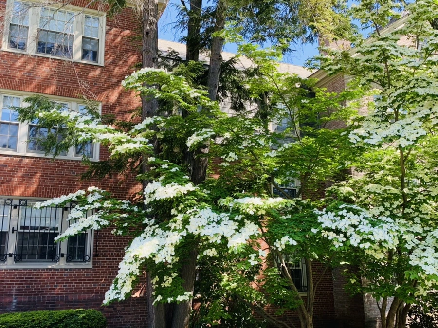 IMG_3104.jpg?type=w966