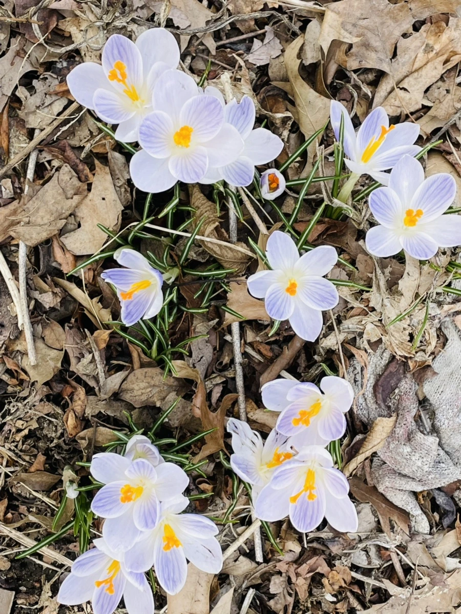 IMG_5171.jpg?type=w966