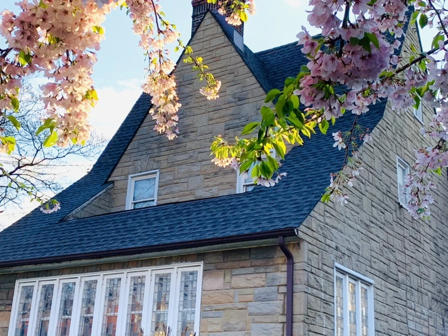 IMG_2452.jpg?type=w966