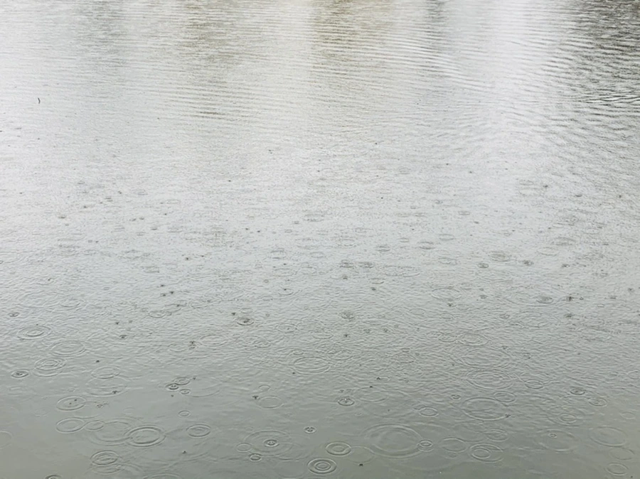 IMG_2046.jpg?type=w966