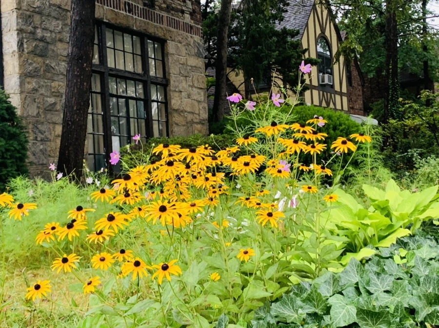 IMG_3667.jpg?type=w966