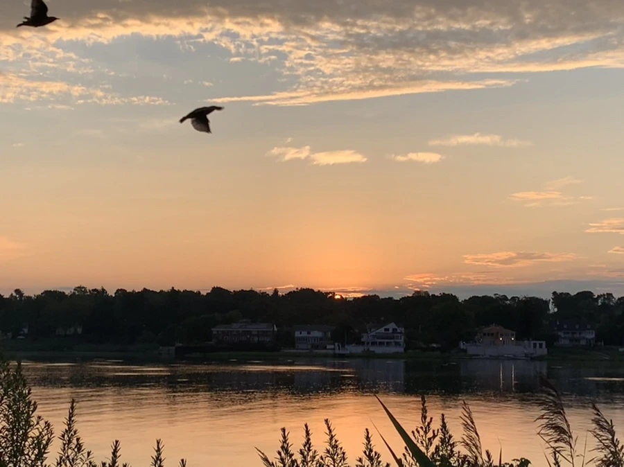 IMG_1247.jpg?type=w966