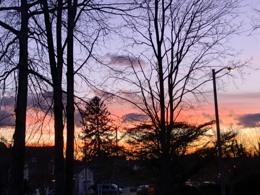 IMG_4614.jpg?type=w966