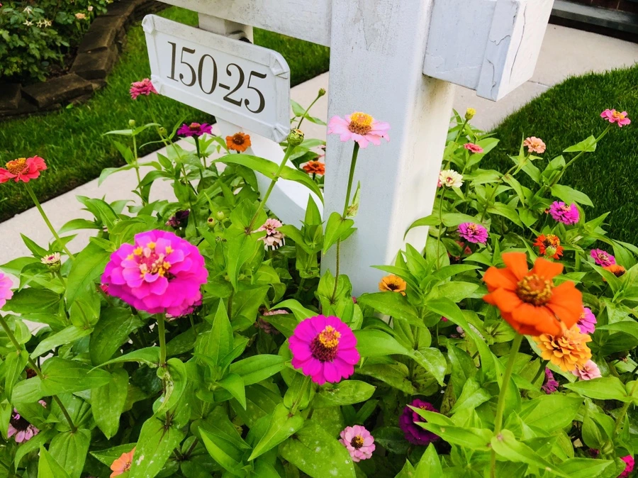 IMG_3642.jpg?type=w966