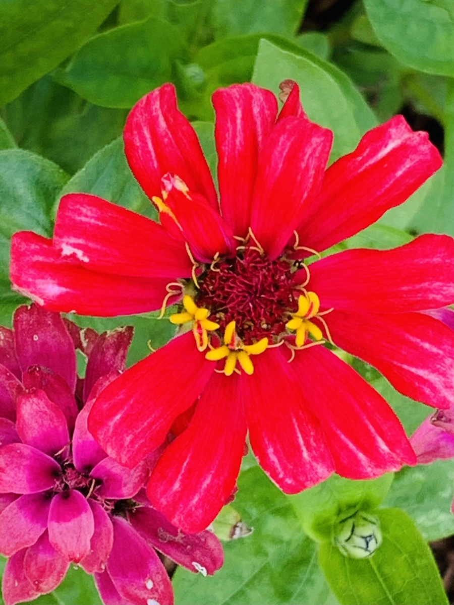 IMG_0482.jpg?type=w966