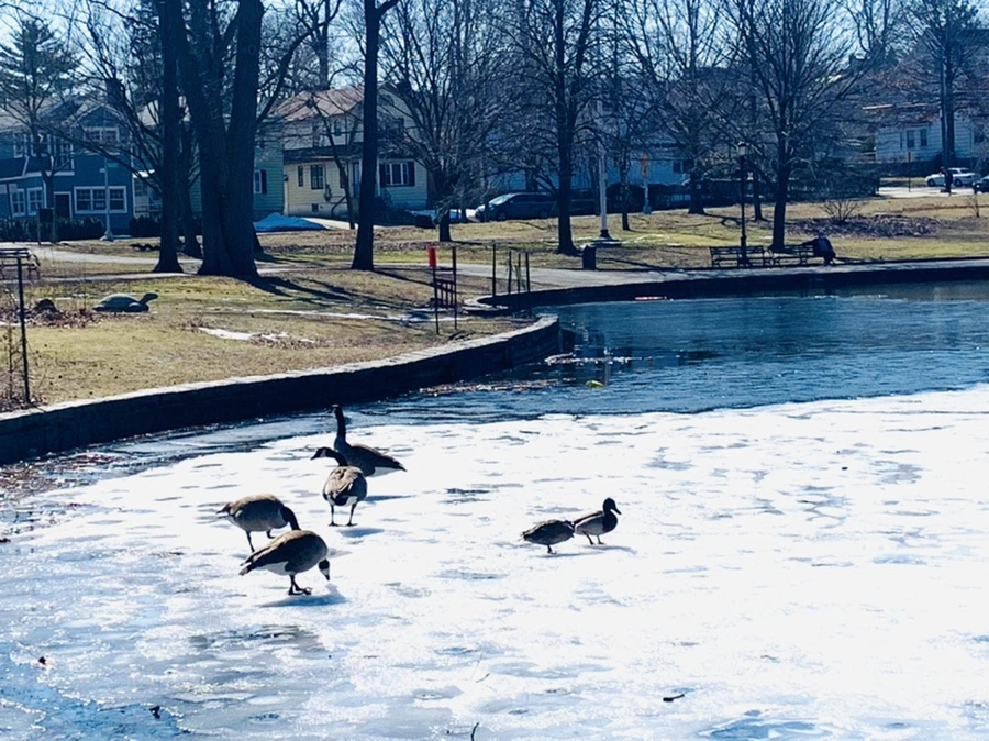 IMG_6891.jpg?type=w966