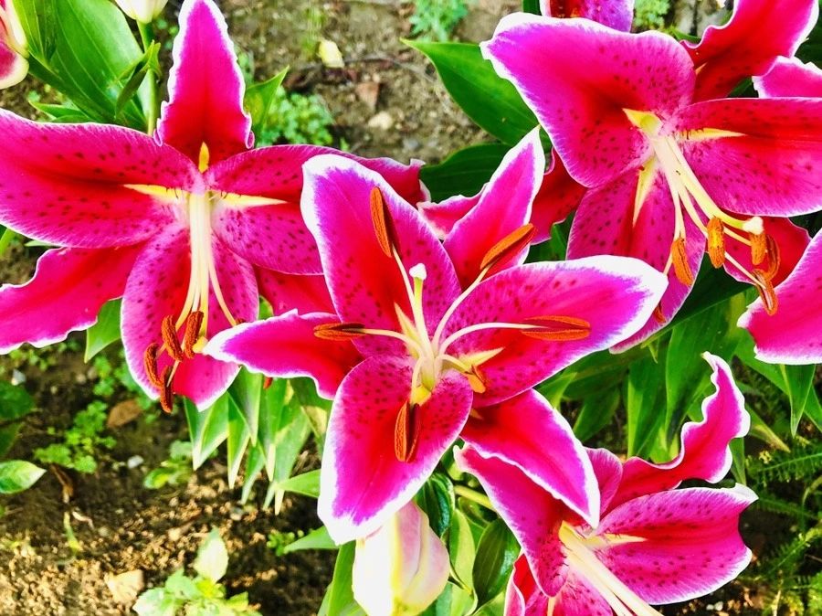 aHQjN2TcYoguLPsV89k1rAOoTy8