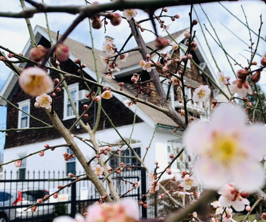 IMG_0488.jpg?type=w966