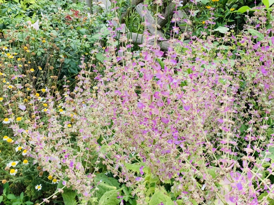 IMG_9404.jpg?type=w966