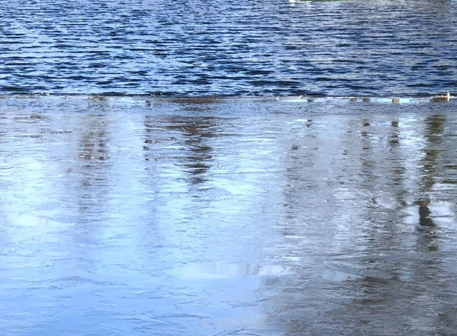 IMG_1188.jpg?type=w966