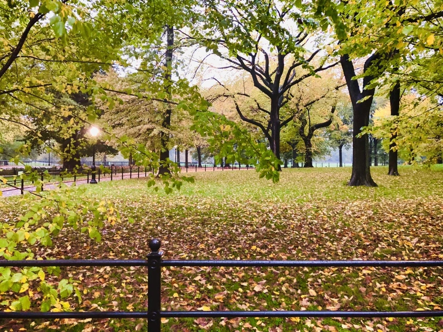 IMG_3134.jpg?type=w966