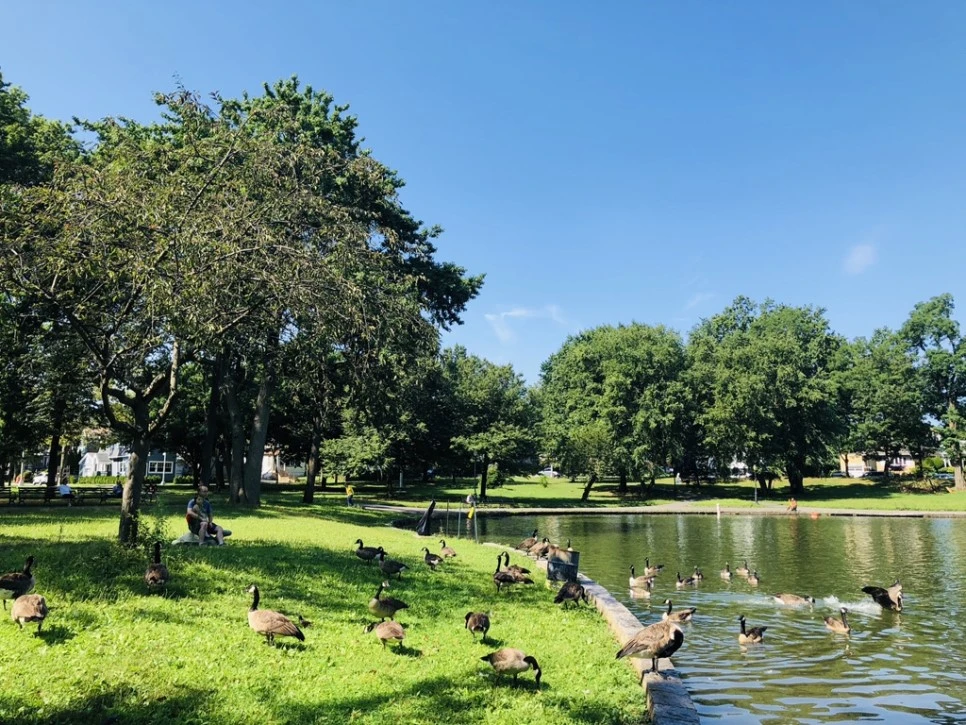 IMG_8098.jpg?type=w966