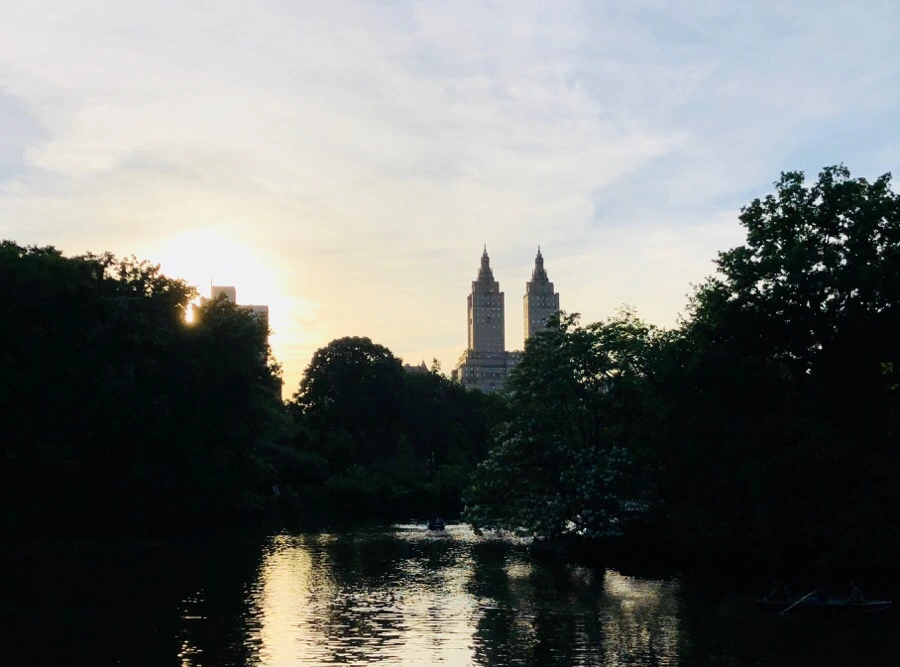 IMG_7678.jpg?type=w966