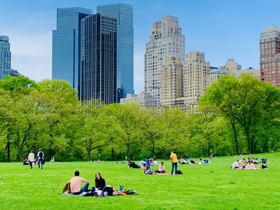 IMG_8786.jpg?type=w966