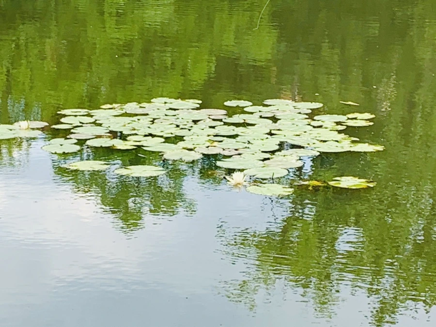 IMG_0758.jpg?type=w966