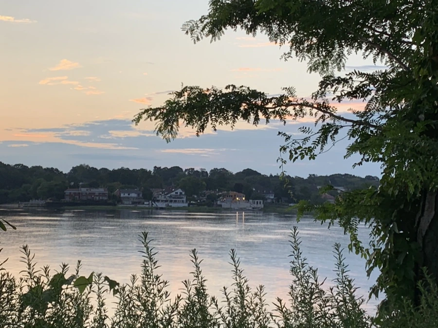 IMG_1185.jpg?type=w966