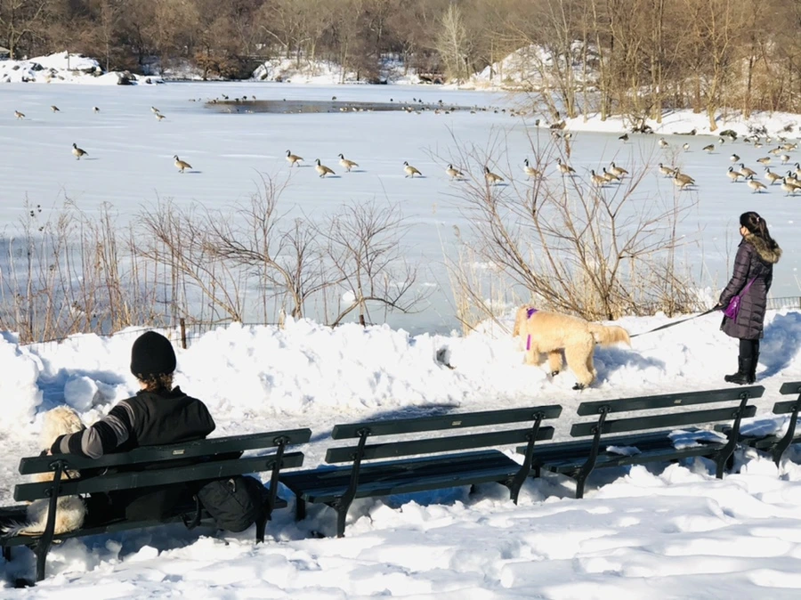 IMG_9855.jpg?type=w966