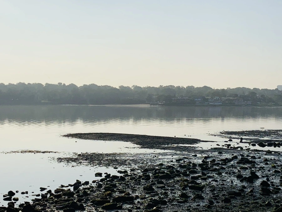 IMG_4347.jpg?type=w966