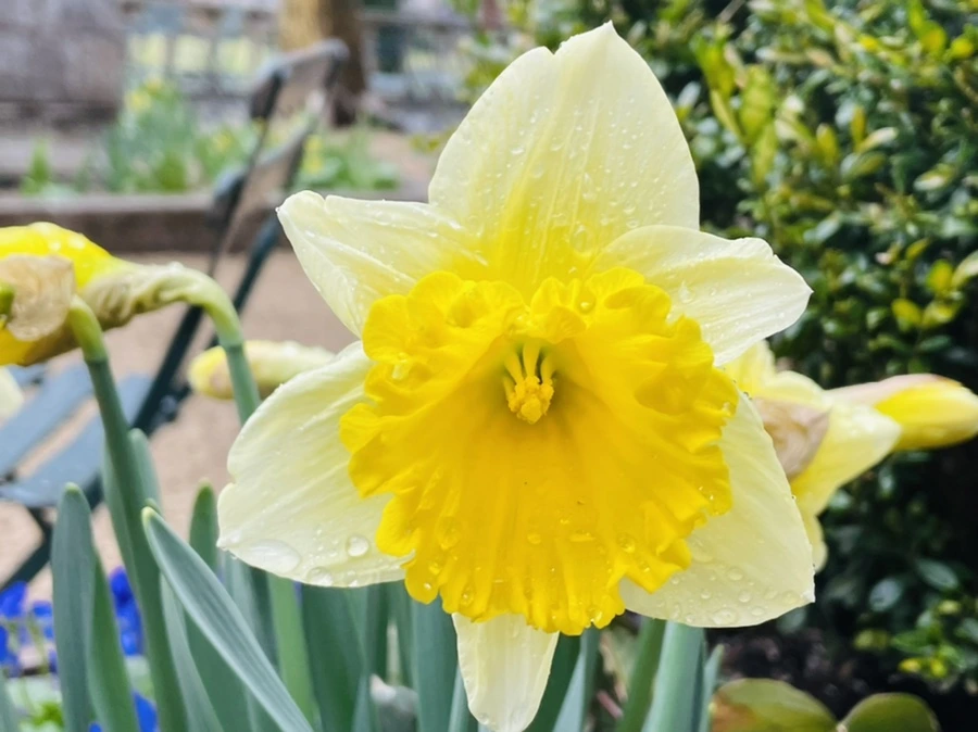 IMG_8682.jpg?type=w966